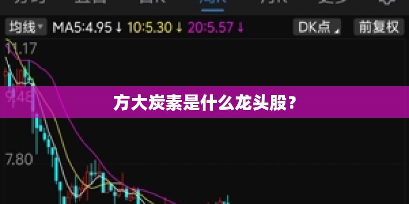 方大炭素是什么龙头股? 方大炭素是什么龙头股?