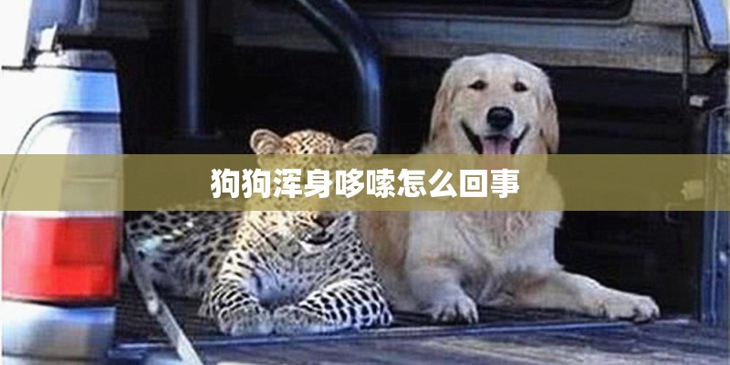 狗狗浑身哆嗦怎么回事