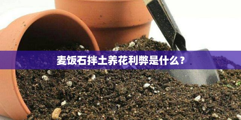 麦饭石拌土养花利弊是什么？