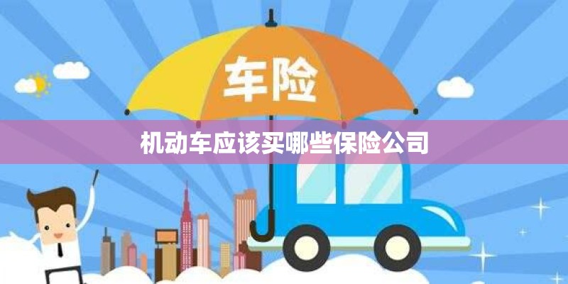 机动车应该买哪些保险公司