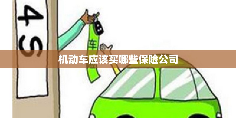 机动车应该买哪些保险公司
