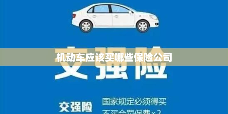 机动车应该买哪些保险公司