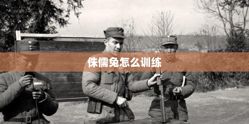 侏儒兔怎么训练 侏儒兔怎么训练