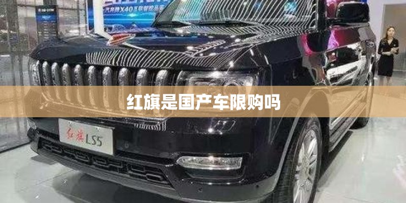绣球花买多大苗合适种植
