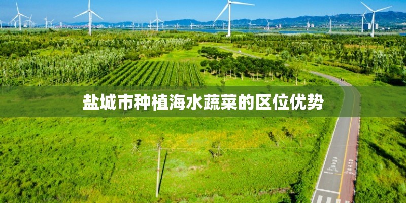 盐城市种植海水蔬菜的区位优势