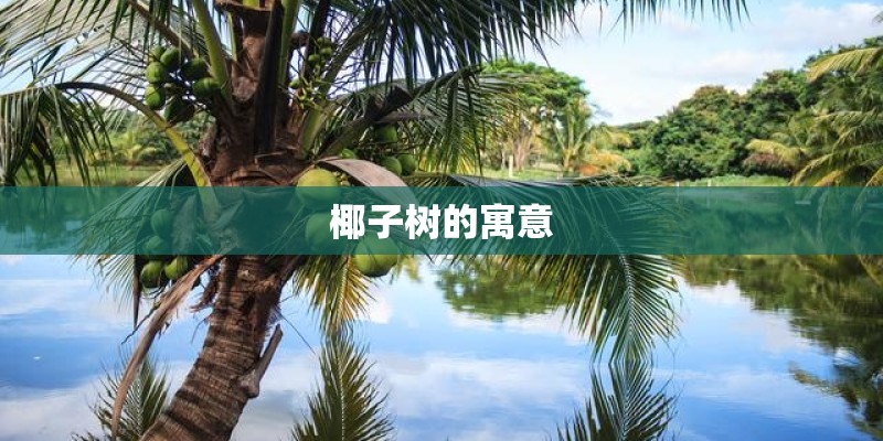 椰子树的寓意 椰子树的寓意