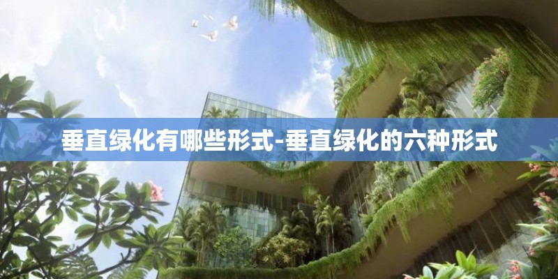 垂直绿化有哪些形式-垂直绿化的六种形式