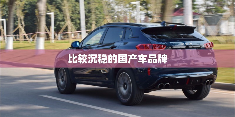 比较沉稳的国产车品牌