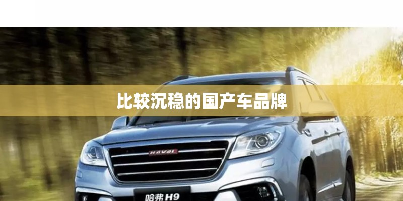 比较沉稳的国产车品牌
