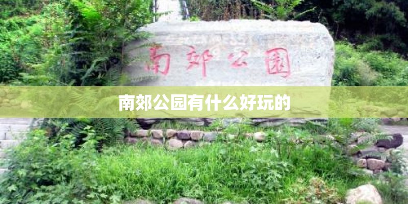 南郊公园有什么好玩的