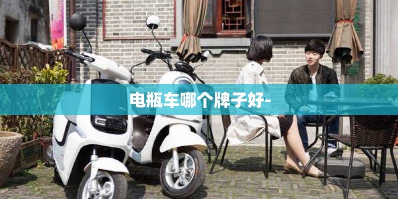 电瓶车哪个牌子好-