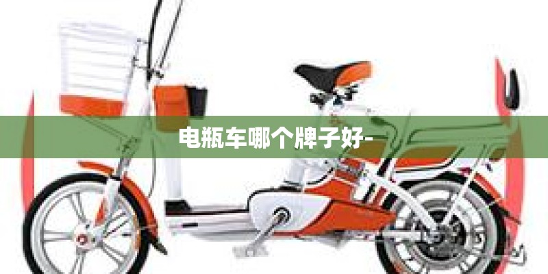 电瓶车哪个牌子好-