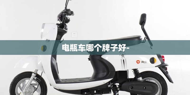 电瓶车哪个牌子好-