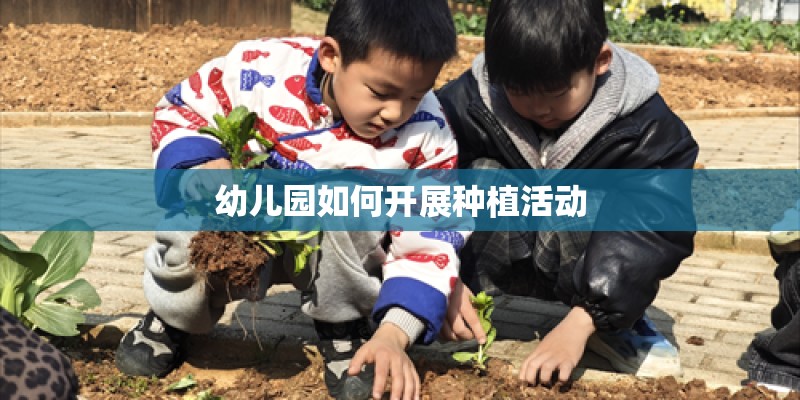 幼儿园如何开展种植活动