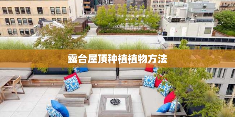 露台屋顶种植植物方法 露台屋顶种植植物方法