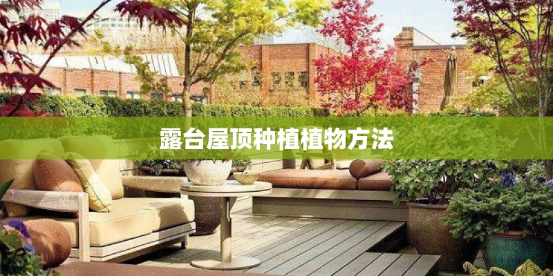 露台屋顶种植植物方法 露台屋顶种植植物方法