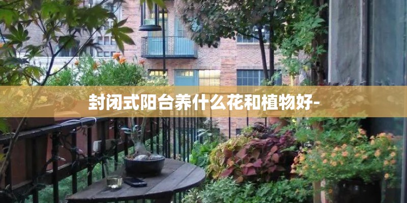 封闭式阳台养什么花和植物好- 封闭式阳台养什么花和植物好-