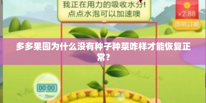 多多果园为什么没有种子种菜咋样才能恢复正常？