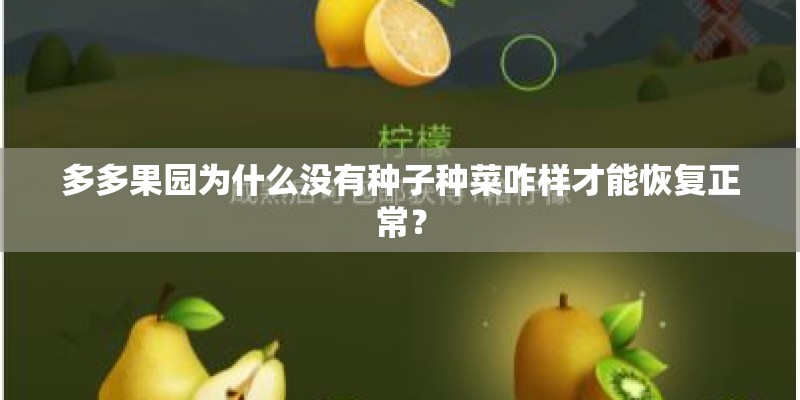 多多果园为什么没有种子种菜咋样才能恢复正常？