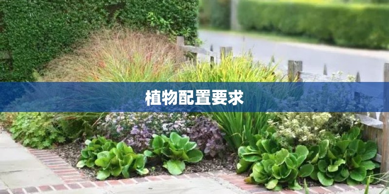 植物配置要求