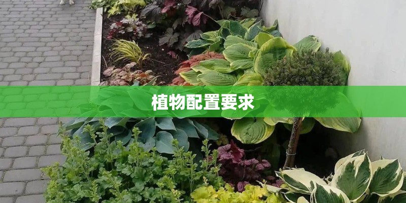 植物配置要求