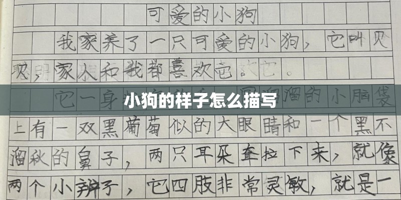 小狗的样子怎么描写