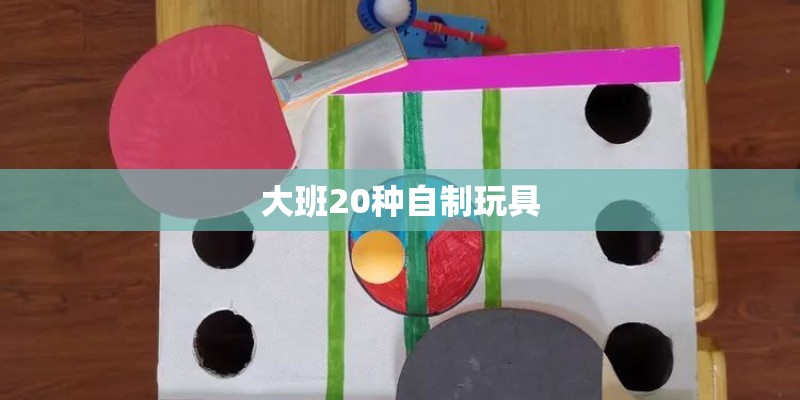 大班20种自制玩具