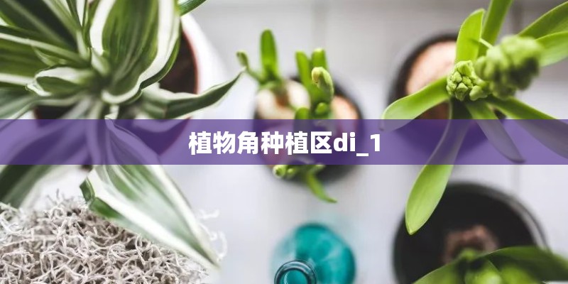 植物角种植区di_1