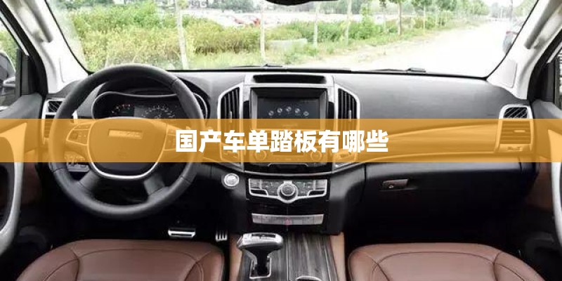 国产车单踏板有哪些