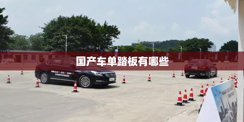 国产车单踏板有哪些