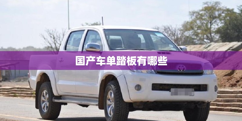 国产车单踏板有哪些
