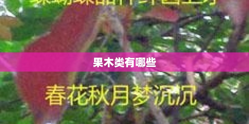果木类有哪些