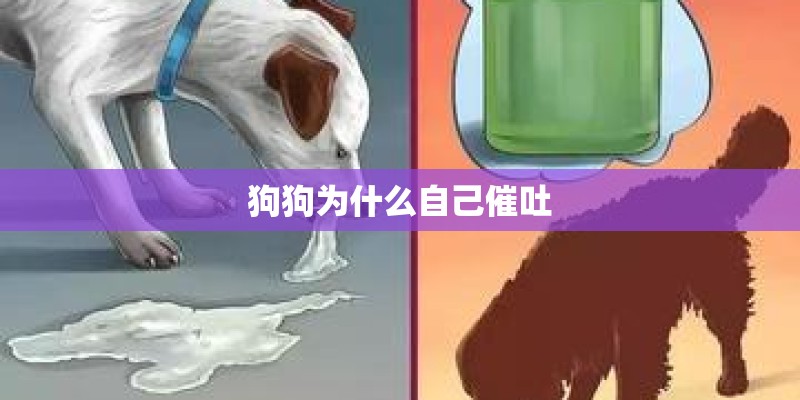 狗狗为什么自己催吐
