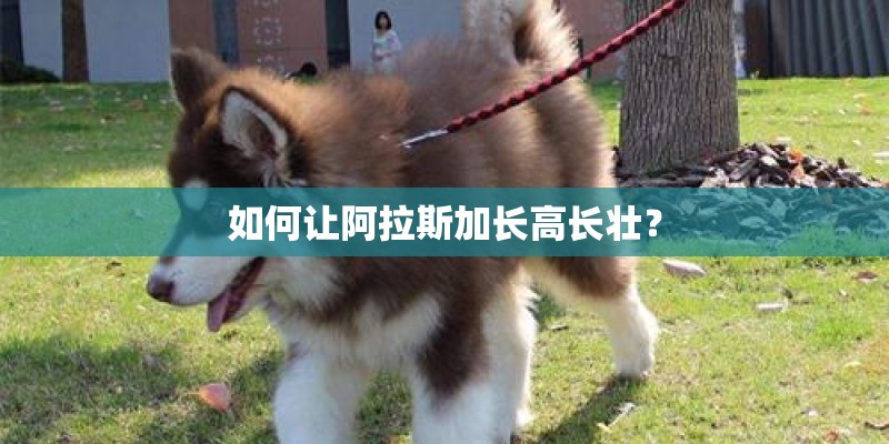 在花园种植哪些植物比较适合