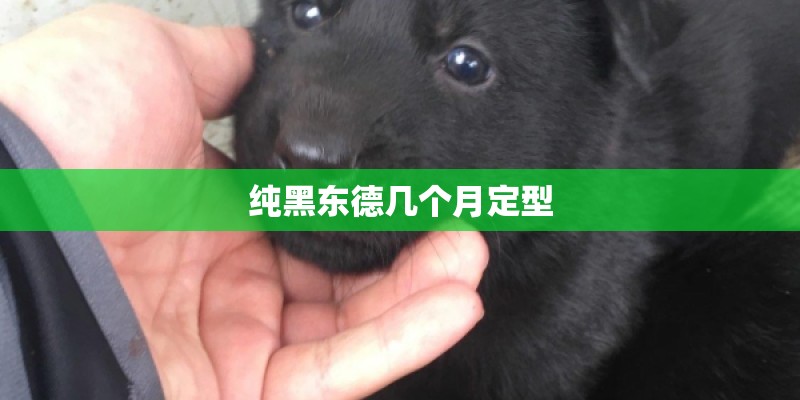 纯黑东德几个月定型