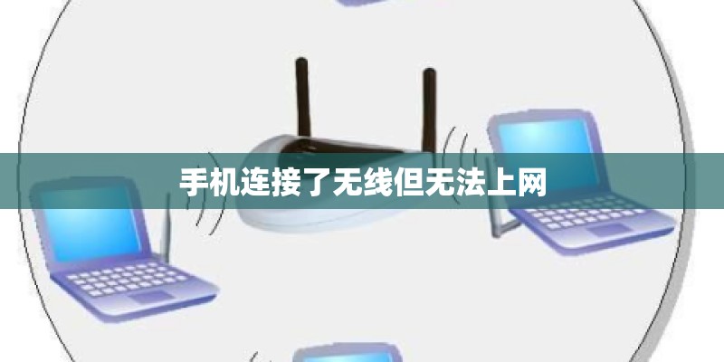 手机连接了无线但无法上网