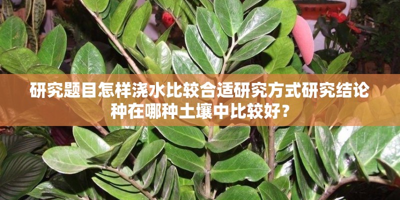 研究题目怎样浇水比较合适研究方式研究结论种在哪种土壤中比较好？