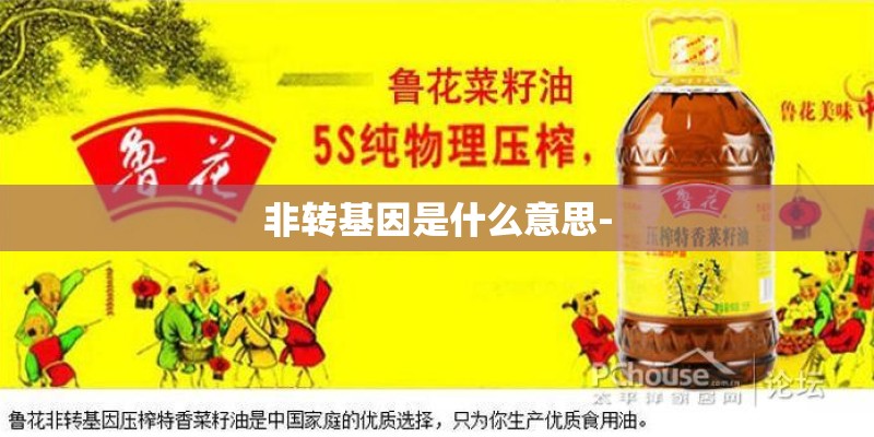 非转基因是什么意思-