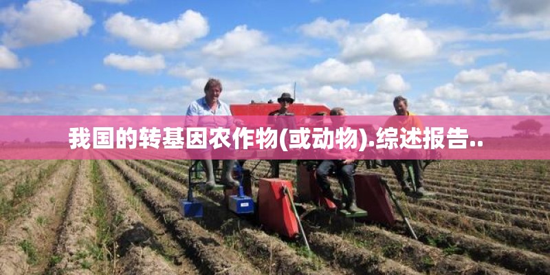 我国的转基因农作物(或动物).综述报告..