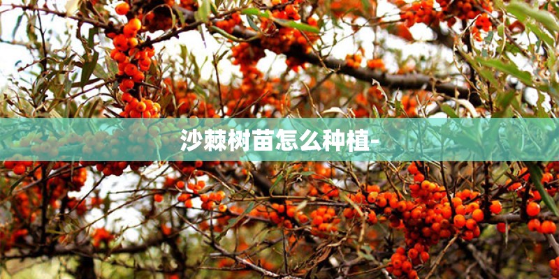 平遥今天24小时的天气怎么样 平遥今天24小时的天气怎么样
