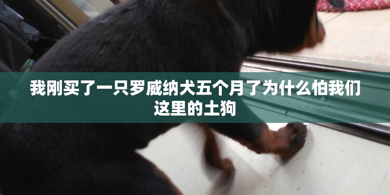 平遥今天24小时的天气怎么样 平遥今天24小时的天气怎么样