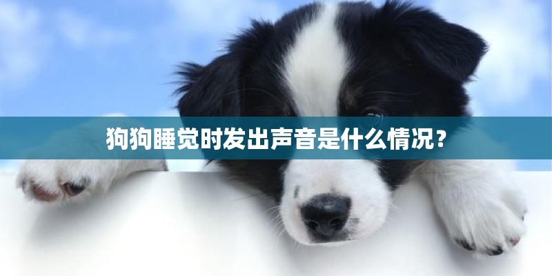 狗狗睡觉时发出声音是什么情况？