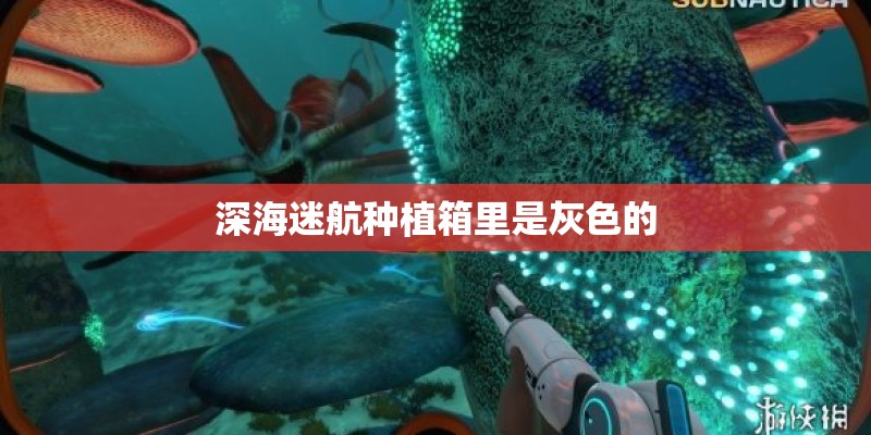 深海迷航种植箱里是灰色的