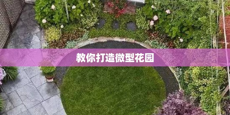 教你打造微型花园 教你打造微型花园
