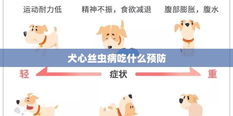 犬心丝虫病吃什么预防 犬心丝虫病吃什么预防