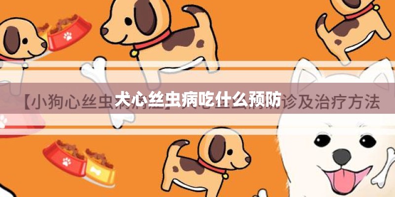 犬心丝虫病吃什么预防 犬心丝虫病吃什么预防