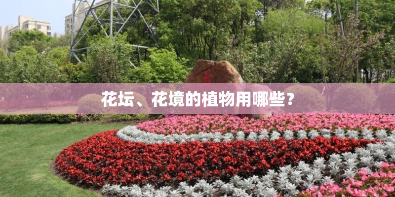 花坛、花境的植物用哪些？