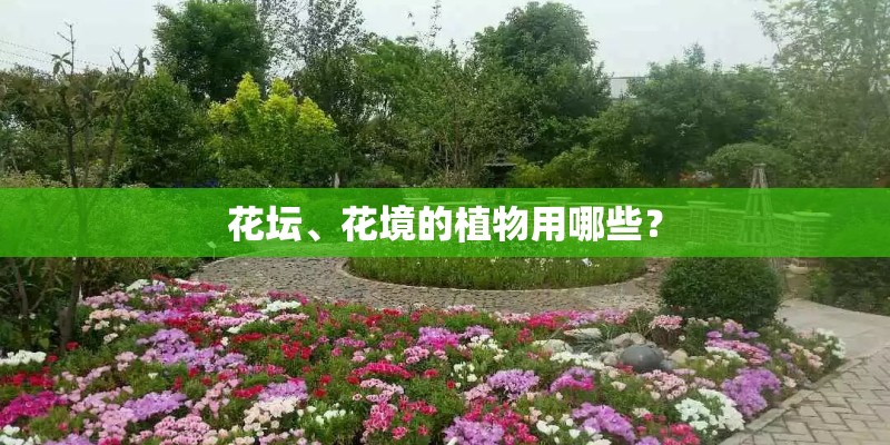花坛、花境的植物用哪些？