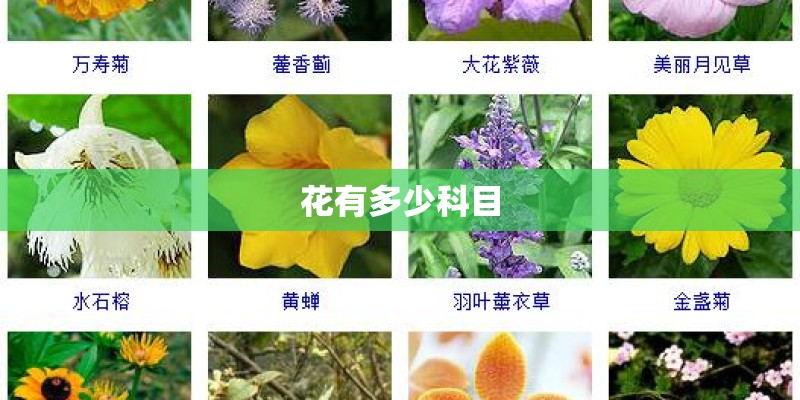 花有多少科目 花有多少科目