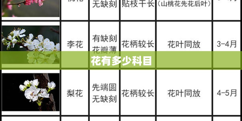 花有多少科目 花有多少科目